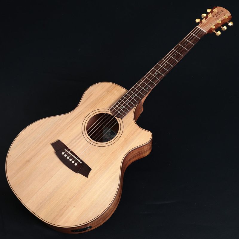 Cole Clark / Touring Series CCFL2EC-BBR Bunya/Blackwood Rosewood 《特典付き》【正規代理店商品】【池袋店】