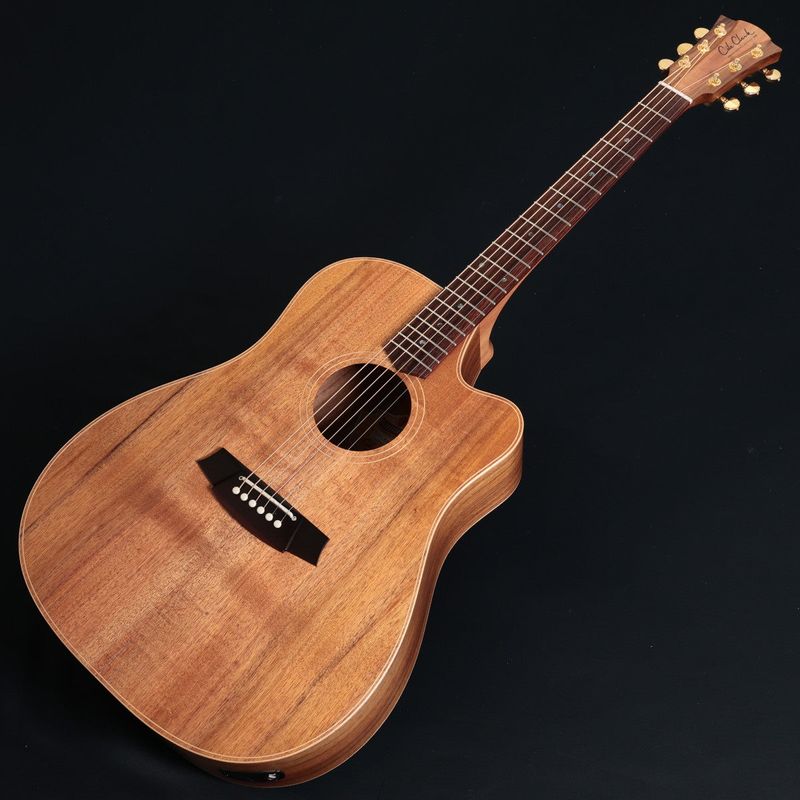 Cole Clark / Touring Series FL2EC-BLBLR All Blackwood Rosewood 《特典付き》【正規代理店商品】【池袋店】