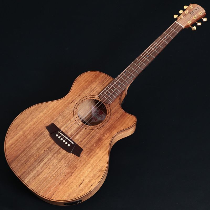 Cole Clark / Touring Series CCTL2EC-BLBLR All Blackwood Rosewood 《特典付き》【正規代理店商品】【池袋店】