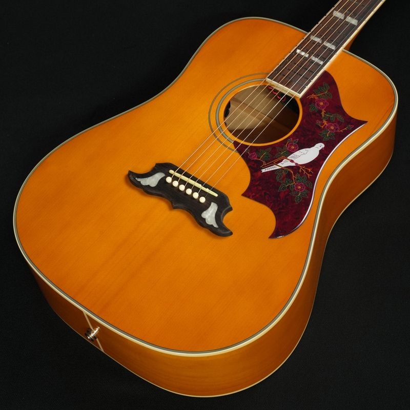 Epiphone / Studio Collection Dove Studio Natural ≪S/N:26042304906