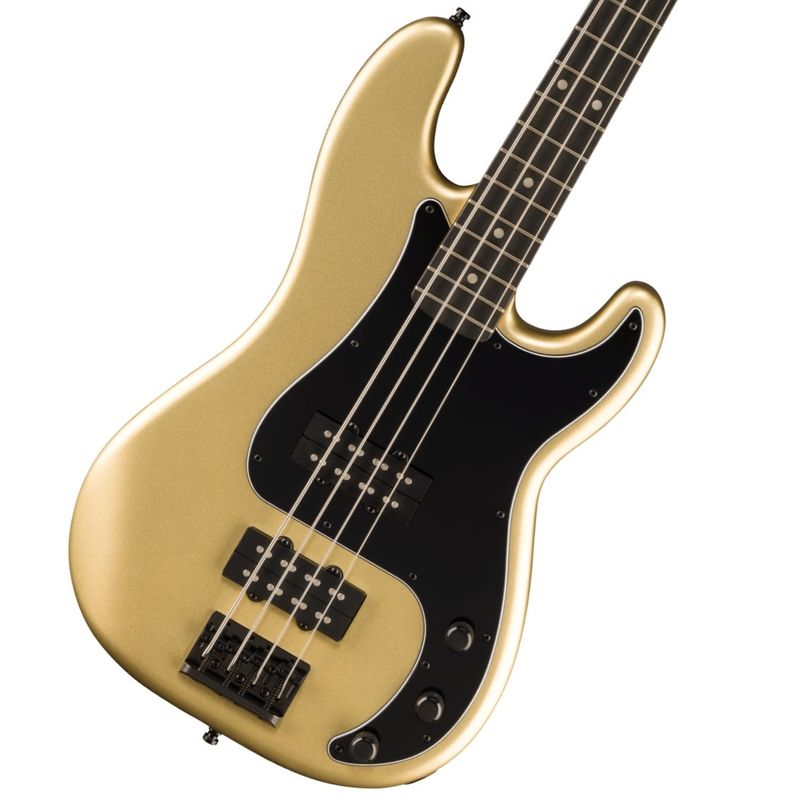 プレシジョンベースタイプ × FENDER MEXICO)の検索結果 | ギター