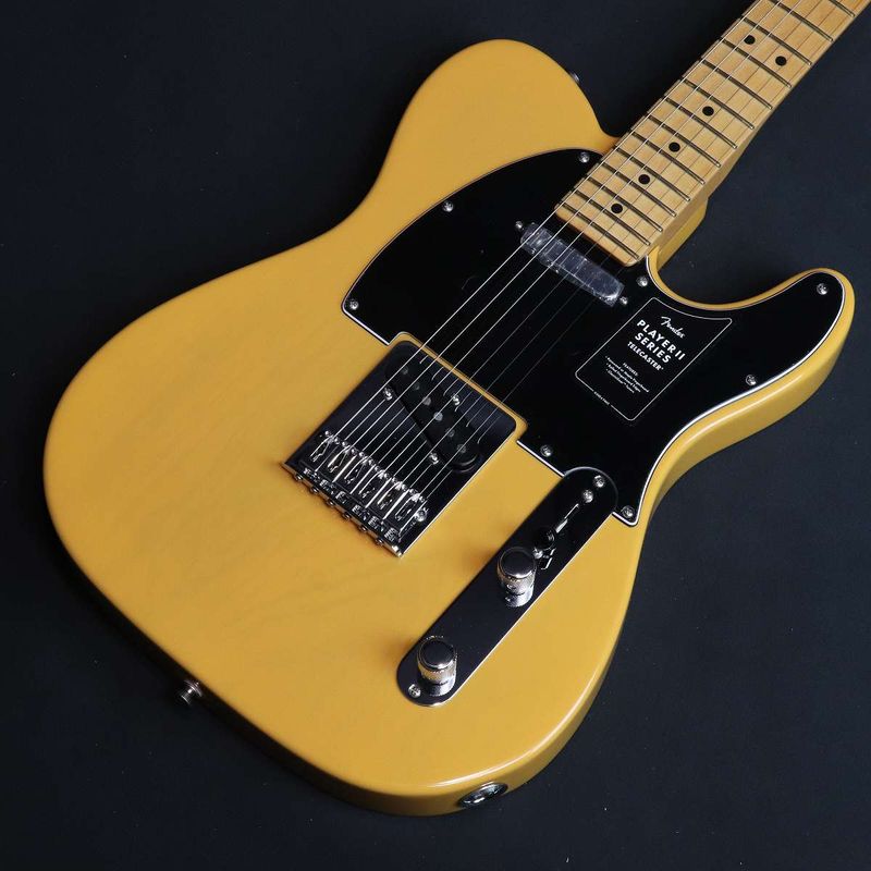FENDER MEXICO)の検索結果 | ギター、アコギ、管楽器などを扱う全国12