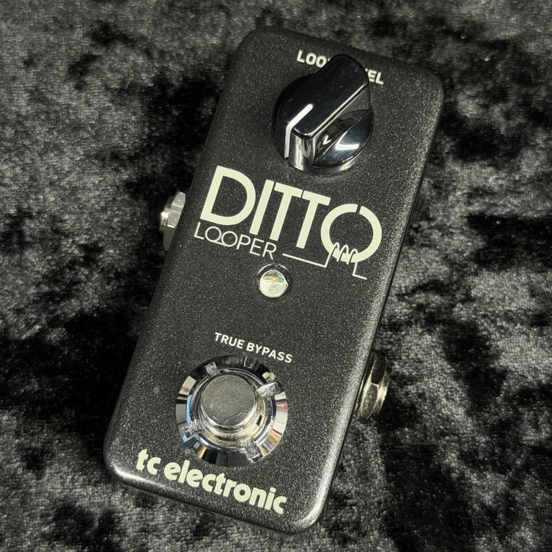 中古】TC ELECTRONIC / Ditto Looper 【新宿店】 | ループサンプラー