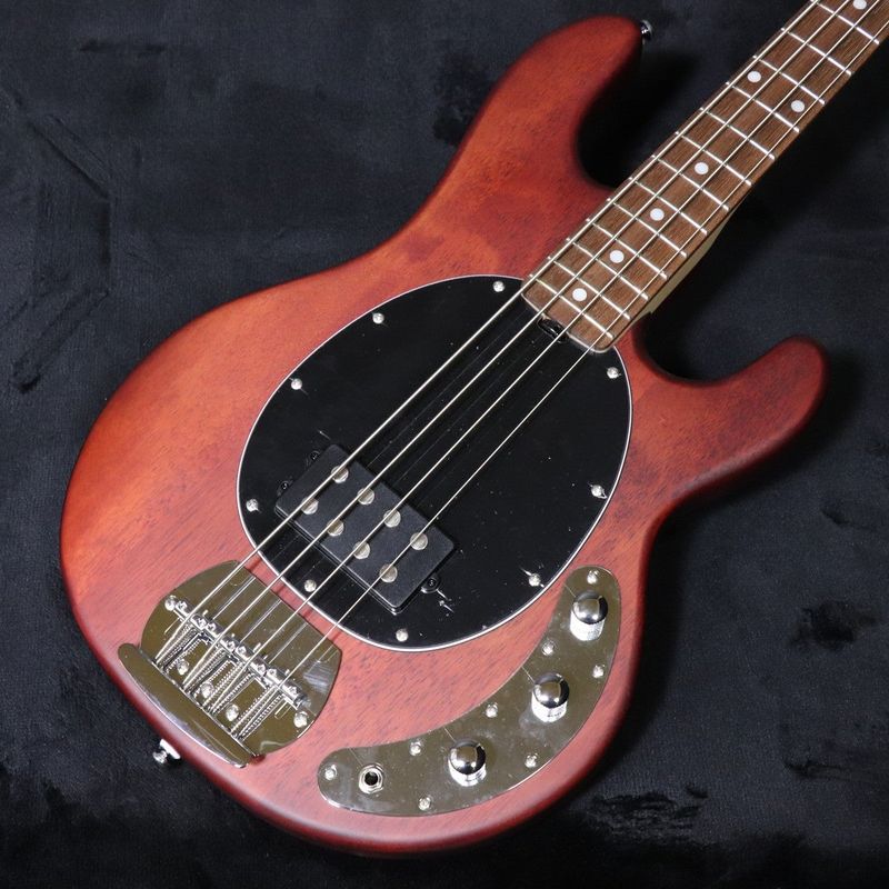 Sterling by Music Man / S.U.B RAY4 Walnut Satin 【梅田店】 | MM