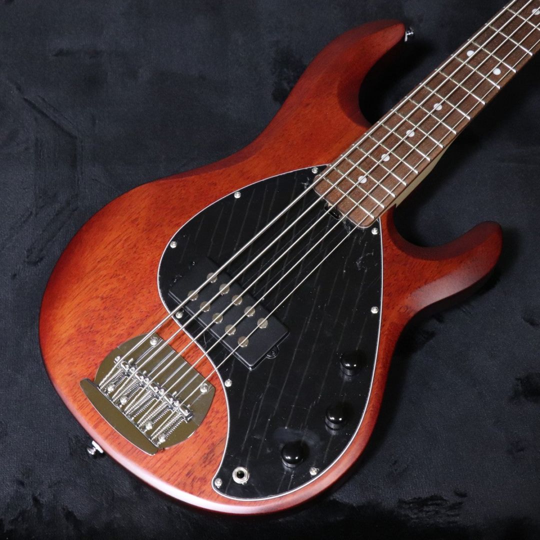 Sterling by Music Man / S.U.B Ray5 Walnut Satin 【梅田店】 | MM