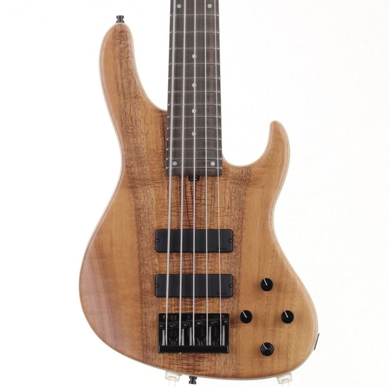 5弦 (エレキベース × SADOWSKY)の検索結果 | ギター、アコギ、管楽器