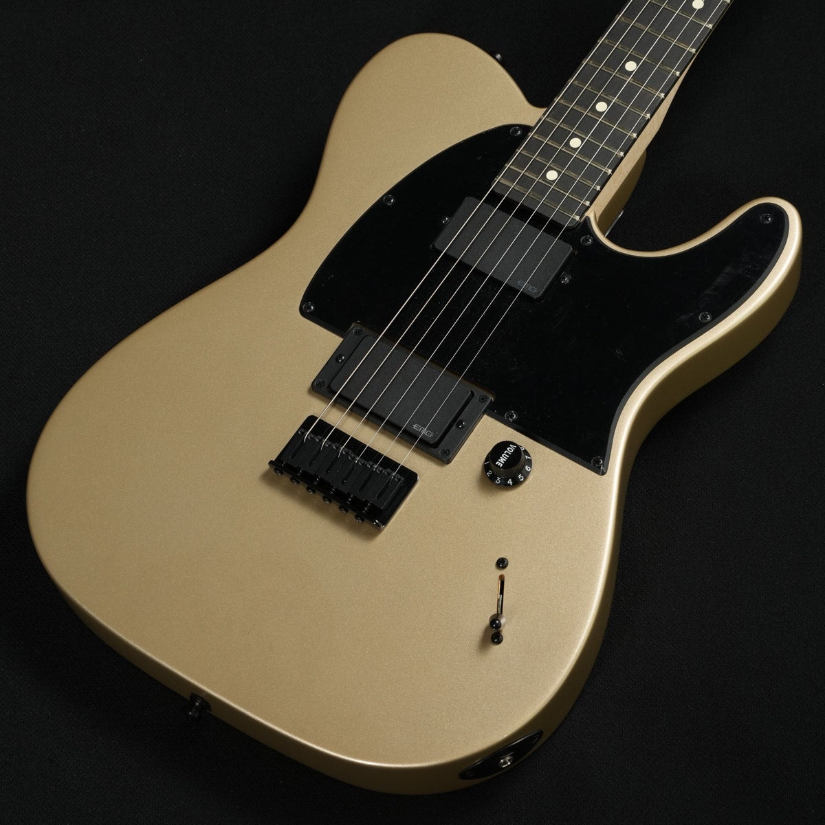Fender / Limited Edition Jim Root Telecaster Shoreline Gold ≪S/N