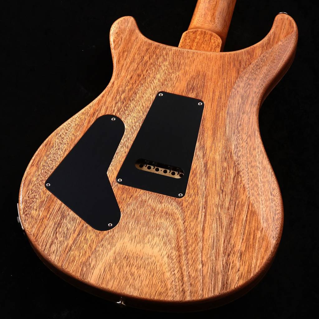 Paul Reed Smith (PRS) / 2026 Custom 24 Birds of a Feather Limited Edition Charcoal Microburst(3.43kg)【S/N:26 0430610】 사진 2