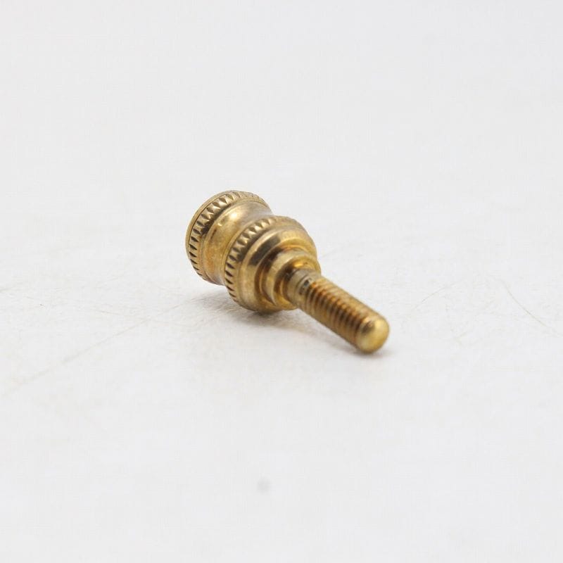 Shiba Neji 柴ネジ / Neck Joint Screw Universal Light 砲金 SELMER 
