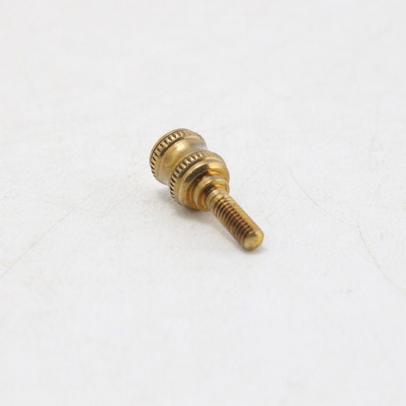 Shiba Neji 柴ネジ / Neck Joint Screw Universal Light 砲金 SELMER