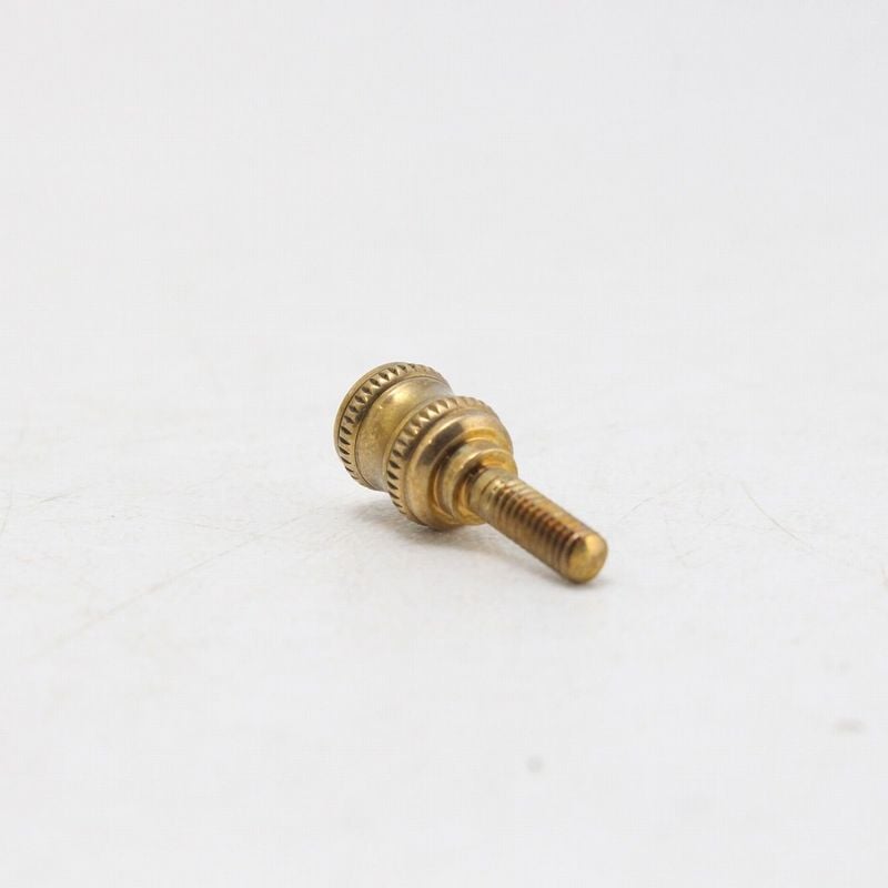 Shiba Neji 柴ネジ / Neck Joint Screw Universal Light 砲金 SELMER