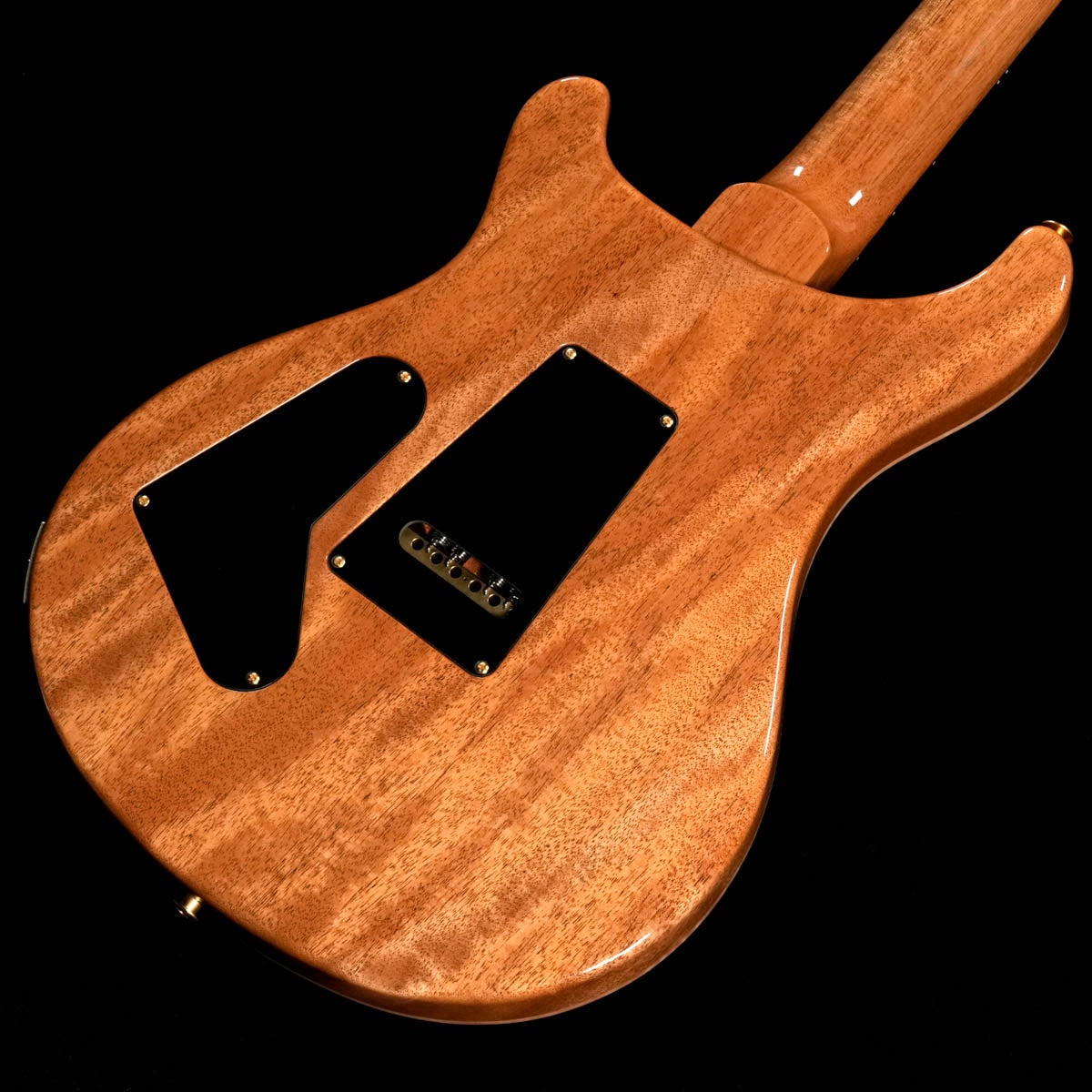 Paul Reed Smith (PRS) / 2026 Dany Villarreal Signature Astryx Limited Edition Ocaso 사진 2