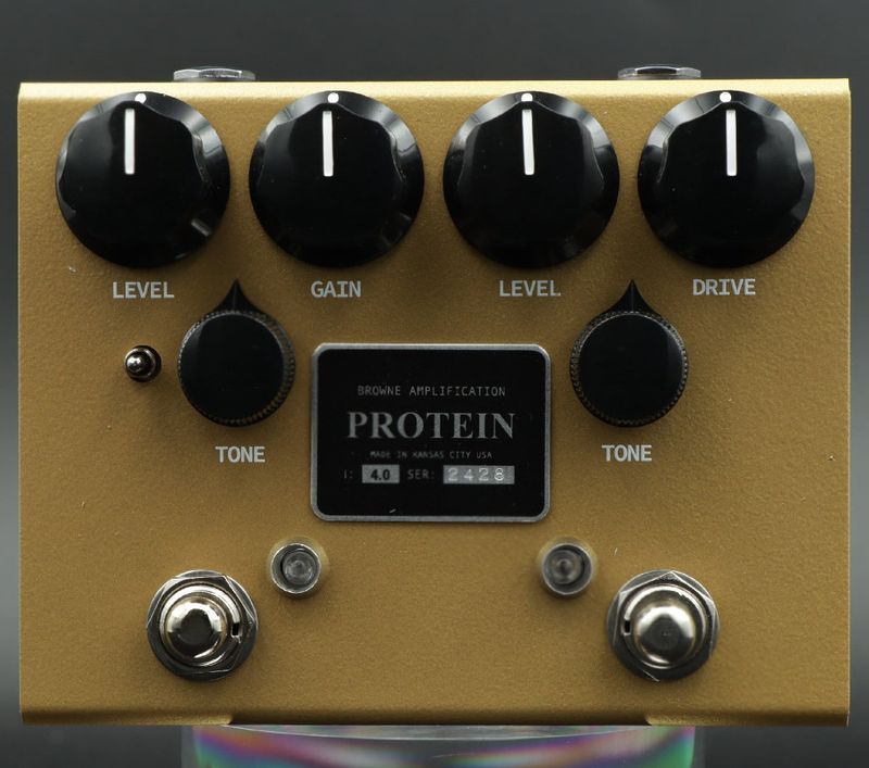 browne amplification PROTEIN クローン LY-ROCK Browne Amplification