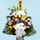 上盛花（一基）