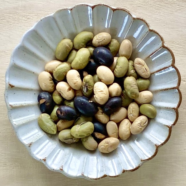 ふくまめ 福豆（ふくまめ） 120g | 豆菓子 | えちごいち味噌 製造元直売店