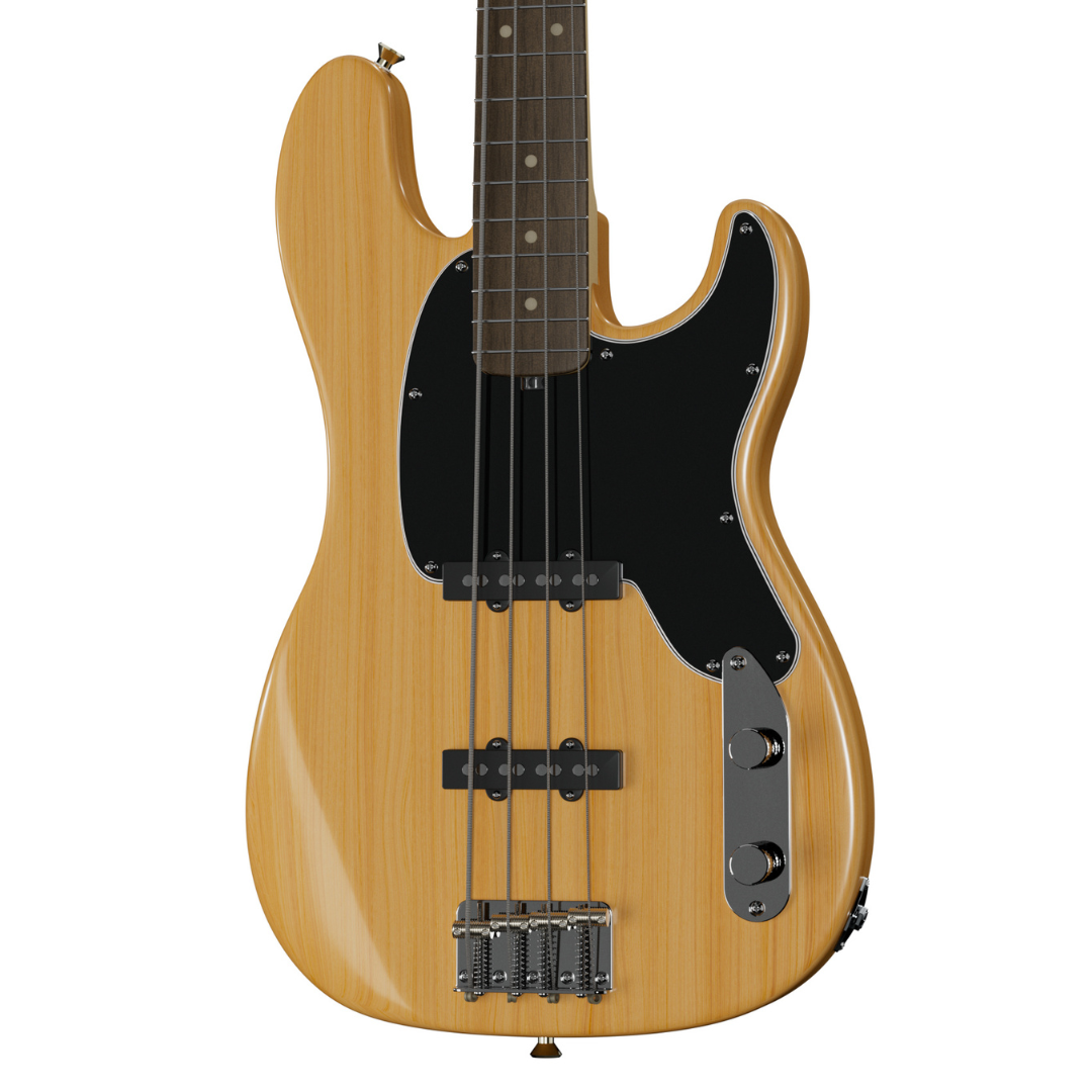 Jiminy JB Standard Model