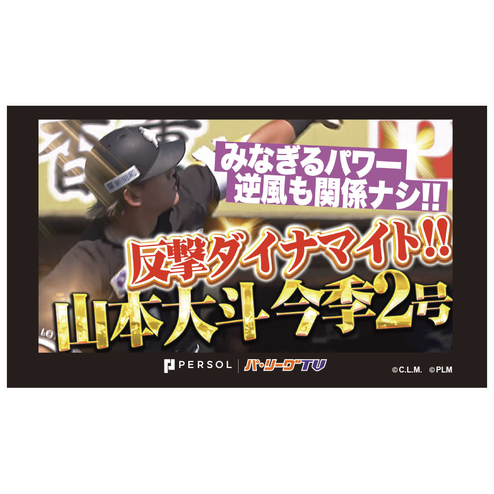 パテレ サムネイル・タオル [千葉ロッテマリーンズ・山本選手]