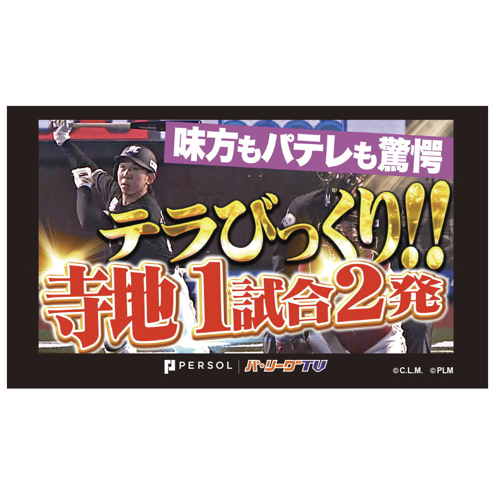 パテレ サムネイル・タオル [千葉ロッテマリーンズ・寺地選手]