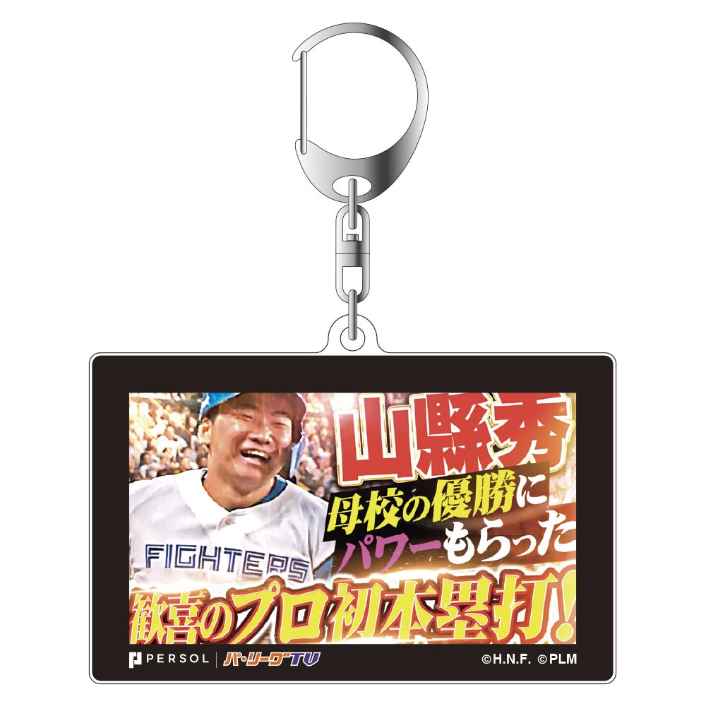 アニマル　ホーク　プロ格ヒーローズ　2体セット アニマル ホーク プロ格ヒーローズ 2体セット アニマル ホーク