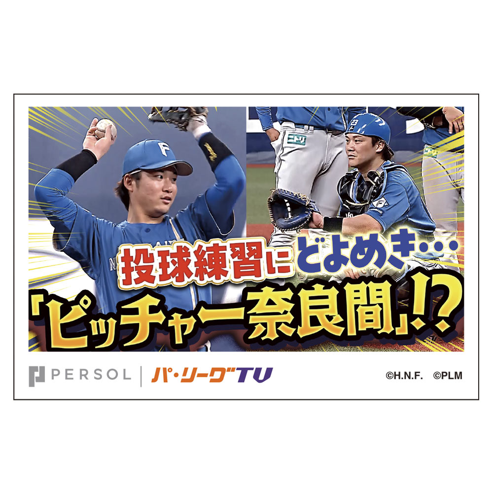 パテレ サムネイル・ステッカー [北海道日本ハムファイターズ・奈良間選手]