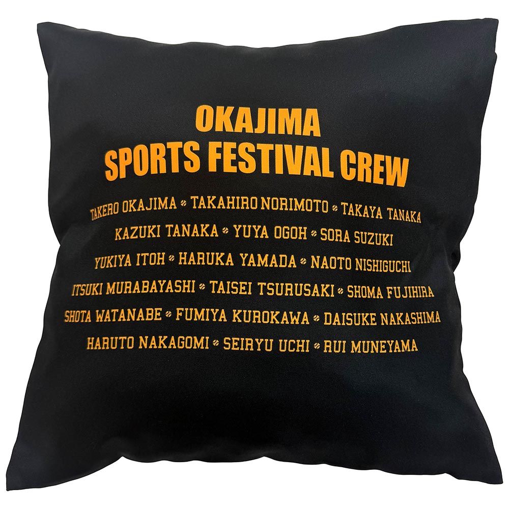 岡島体育祭2025 クッション | プロ野球 | ジュウロクホウイオンライン