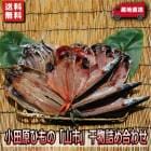 送料無料♪【国産】小田原ひもの「山市」干物詰め合せ〜豆アジが入った人気の干物セットです。|送料無料シリーズ