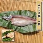 �������ѻ��ۤ��ޤ���ʪ��1��--���˾��ĸ�����ɽ������Ǥ���