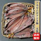 ������̵�������������������ʪ�ڹ񻺡ۡ�5��