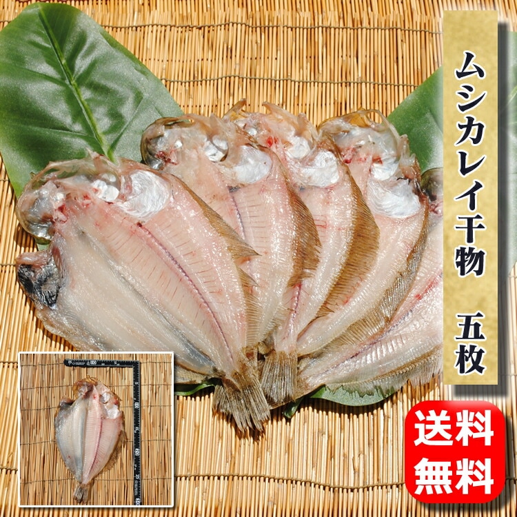 쥤ʪ 5ʪˤ뤳Ȥǿʬӥ쥤̣Ωޤ!