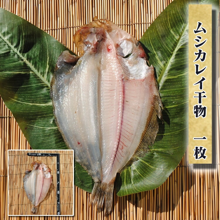 쥤ʪ 1 ʪˤ뤳Ȥǿʬӥ쥤̣Ωޤ!