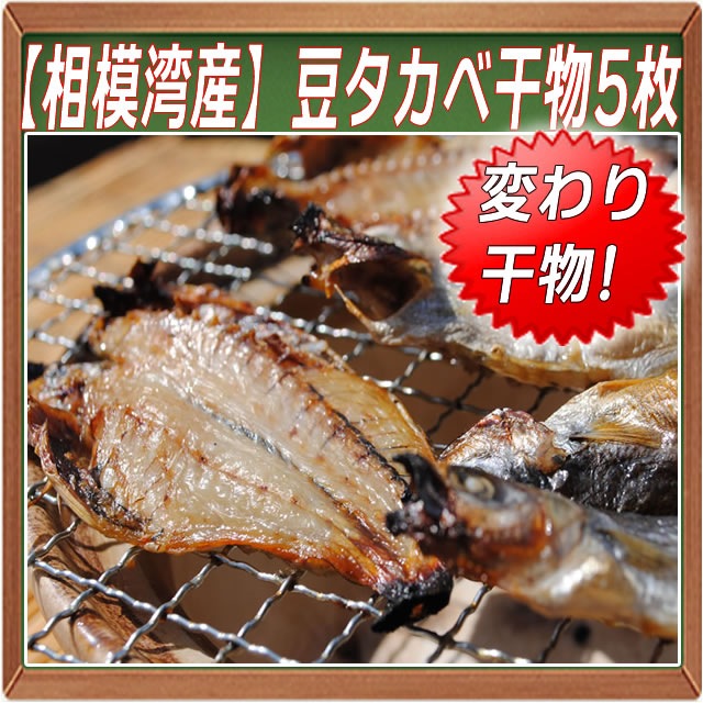ѻƦٴʪѥå--Ƭ鿩٤륿٤δʪǤ