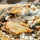 ѻƦٴʪѥå--Ƭ鿩٤륿٤δʪǤ