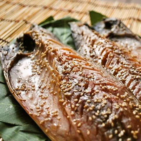 ������̵�����ڹ񻺡ۤ���̣�δ���6��--����ä�ǻ���ܤ�����̣�δ����Ǥ���