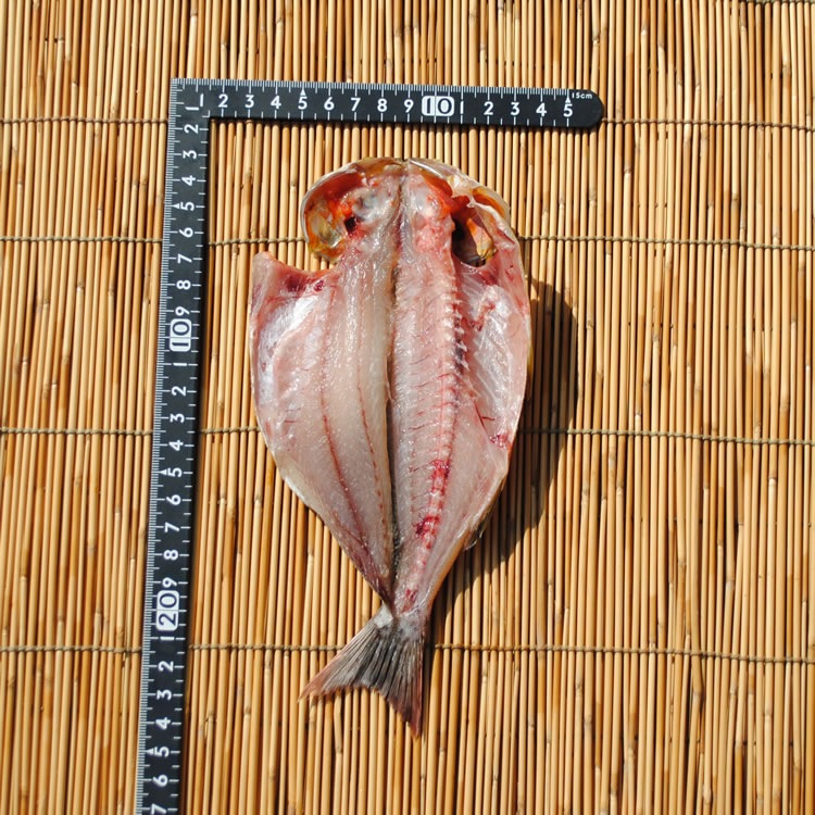 ������̵�����������ѻ��ۥ�������ʪ��5��--���Ƥ�����̣��������鴳ʪ�Ϥ�ä���̣���Ǥ�!