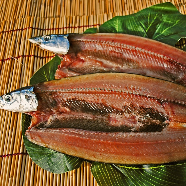 ������̵�����ڹ񻺡ۤ���޴�ʪ��5���������δ�ʪ�äƤ���ʤ���̣�����!!