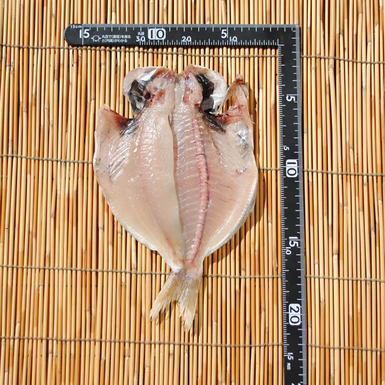 ������̵�����ڹ񻺡ۤ��ܤ�����ʪ��5��������λҶ�ã��1�ֹ����ʴ�ʪ�Ǥ���