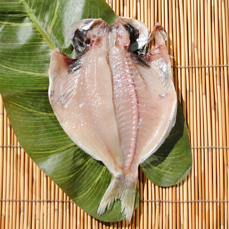 ������̵�����ڹ񻺡ۤ��ܤ�����ʪ��5��������λҶ�ã��1�ֹ����ʴ�ʪ�Ǥ���