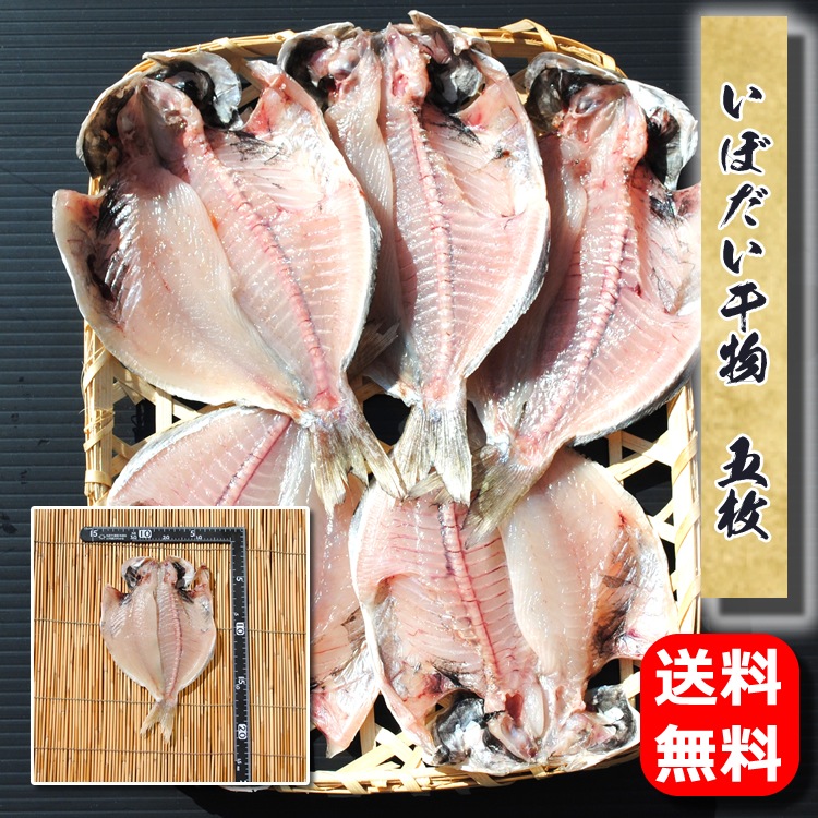 ������̵�����ڹ񻺡ۤ��ܤ�����ʪ��5��������λҶ�ã��1�ֹ����ʴ�ʪ�Ǥ���