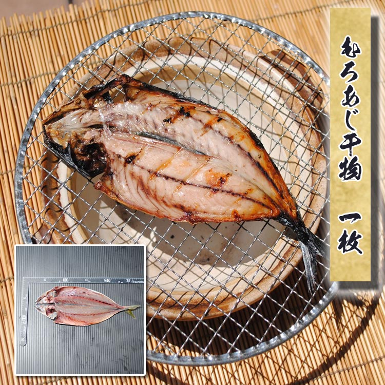 ���������ʪ�ڹ񻺡ۡ�1��