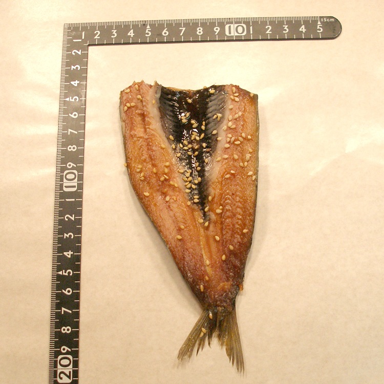 �ڹ񻺡ۿ����路̣�δ���3��--���Ϥ󤬥����������ä�ǻ���ܤ�̣�δ�!