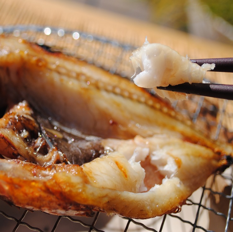 �ڹ񻺡۾����󥭴�ʪ��1����֤Τɤ����פ������Ρ��֥�Ρ�����(�ȼ�)�Ǥ�����ΤäƤޤ�!!