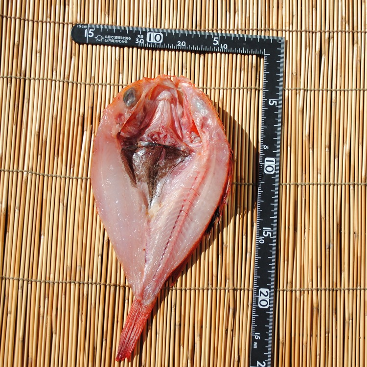 �ڹ񻺡۾����󥭴�ʪ��1����֤Τɤ����פ������Ρ��֥�Ρ�����(�ȼ�)�Ǥ�����ΤäƤޤ�!!