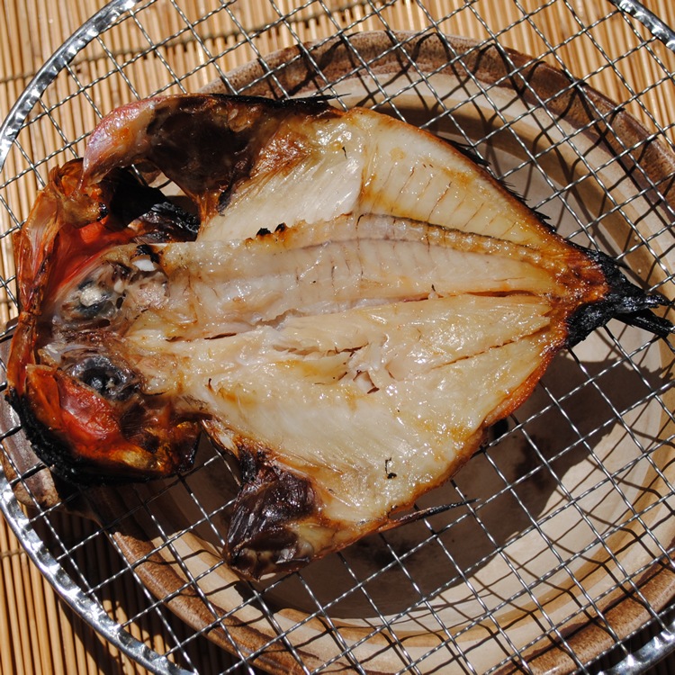 �����䴳ʪ�ڹ񻺡ۡ�1�硡�������Ǥ�������ΤäƤޤ�!!