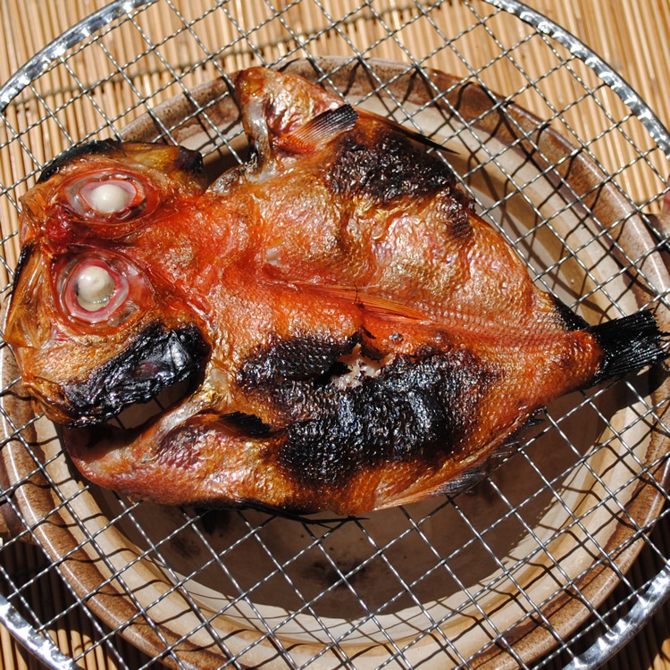 �����䴳ʪ�ڹ񻺡ۡ�1�硡�������Ǥ�������ΤäƤޤ�!!