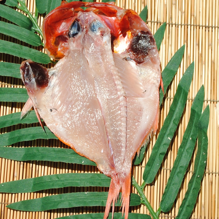 �����䴳ʪ�ڹ񻺡ۡ�1�硡�������Ǥ�������ΤäƤޤ�!!