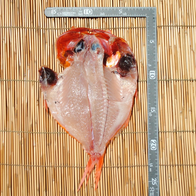 �����䴳ʪ�ڹ񻺡ۡ�1�硡�������Ǥ�������ΤäƤޤ�!!