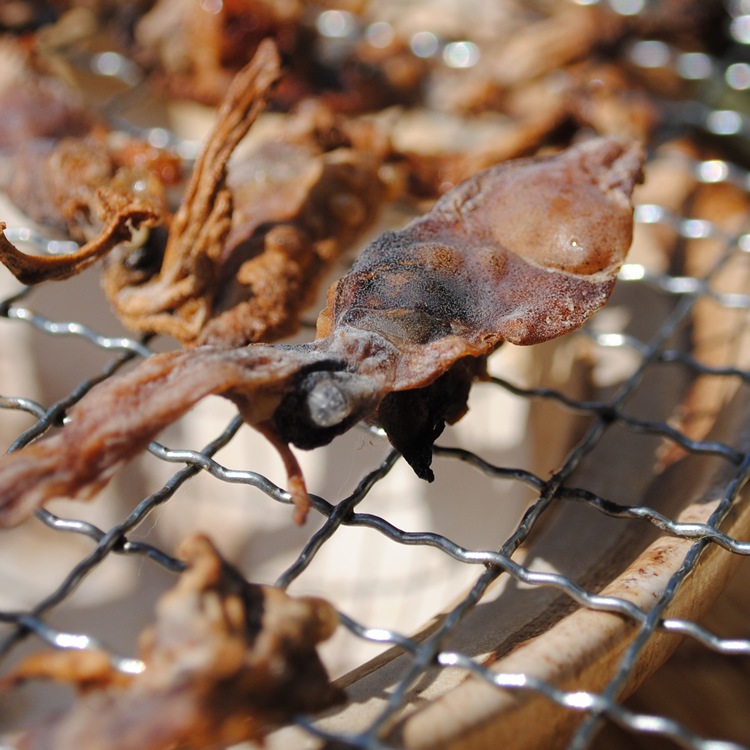 �ۥ��륤���Ǵ����ڹ񻺡ۡ�50g