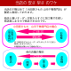 ڹ񻺡祢ʥʪ 124礭ʷҤδʪǤ