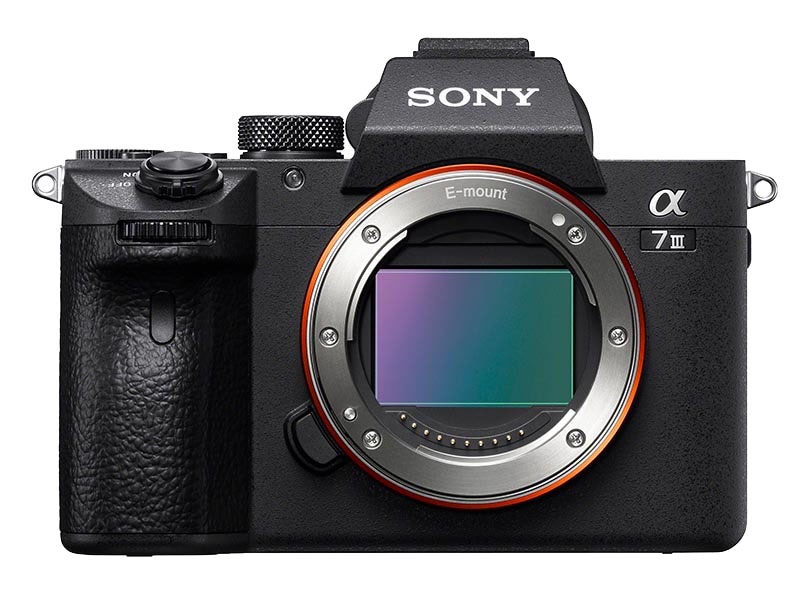 momo SONY α7 III ILCE-7M3 ボディ バッテリー2個付き（SONY α7 III