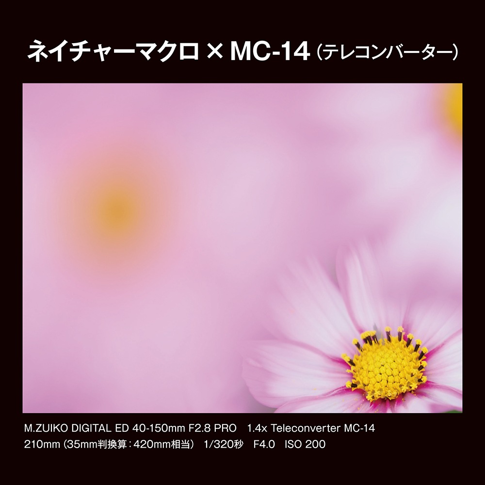 OM SYSTEM M.ZUIKO DIGITAL 1.4x Teleconverter MC-14 | 交換レンズ